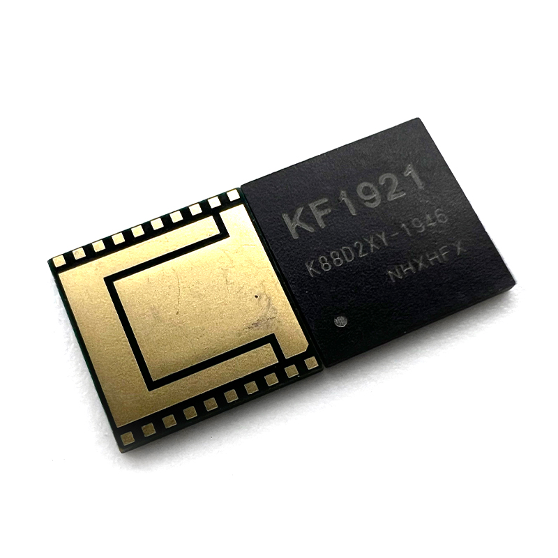 Chip WhatsMiner KF1921